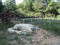 Vineyard View #2